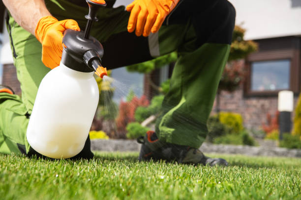Best Commercial Pest Control Services  in El Paso, IL