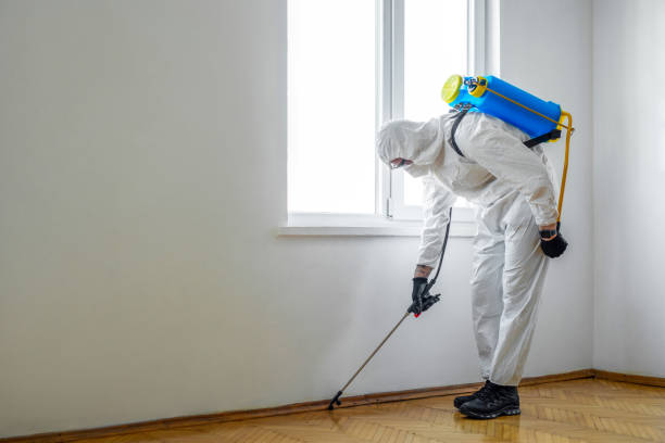 Professional Pest Control in El Paso, IL