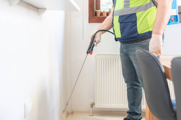 Best Cockroach Control Services  in El Paso, IL