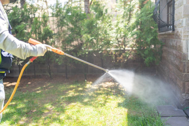 Flea Control Services in El Paso, IL