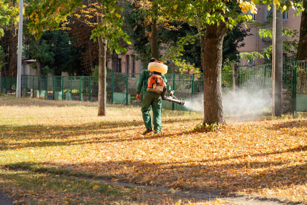 Best Spider Control Near Me  in El Paso, IL