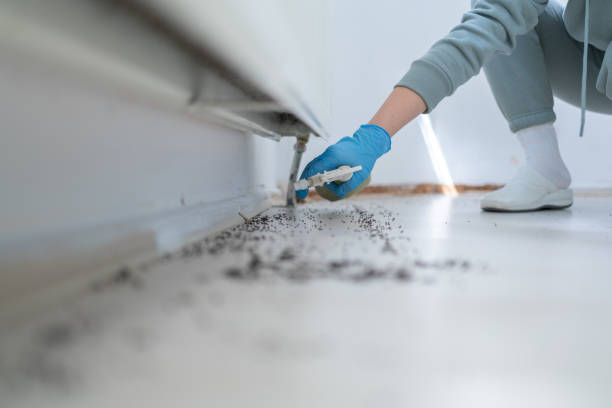 Best Pest Prevention Services  in El Paso, IL